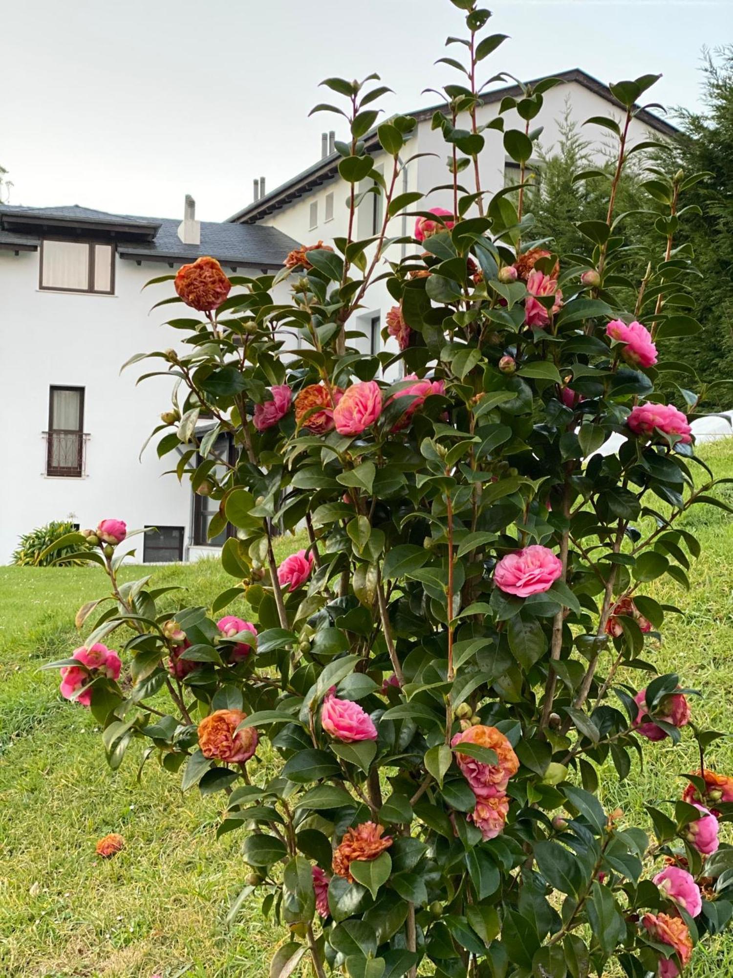 Finca Portizuelo Luarca Exterior foto